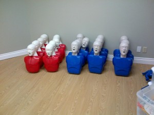 Adult Training Mannequins for CPR/AED